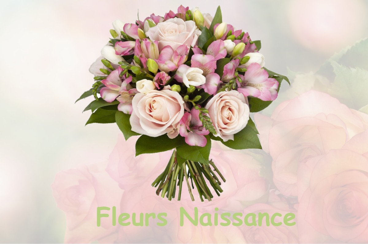 fleurs naissance SOISSONS-SUR-NACEY