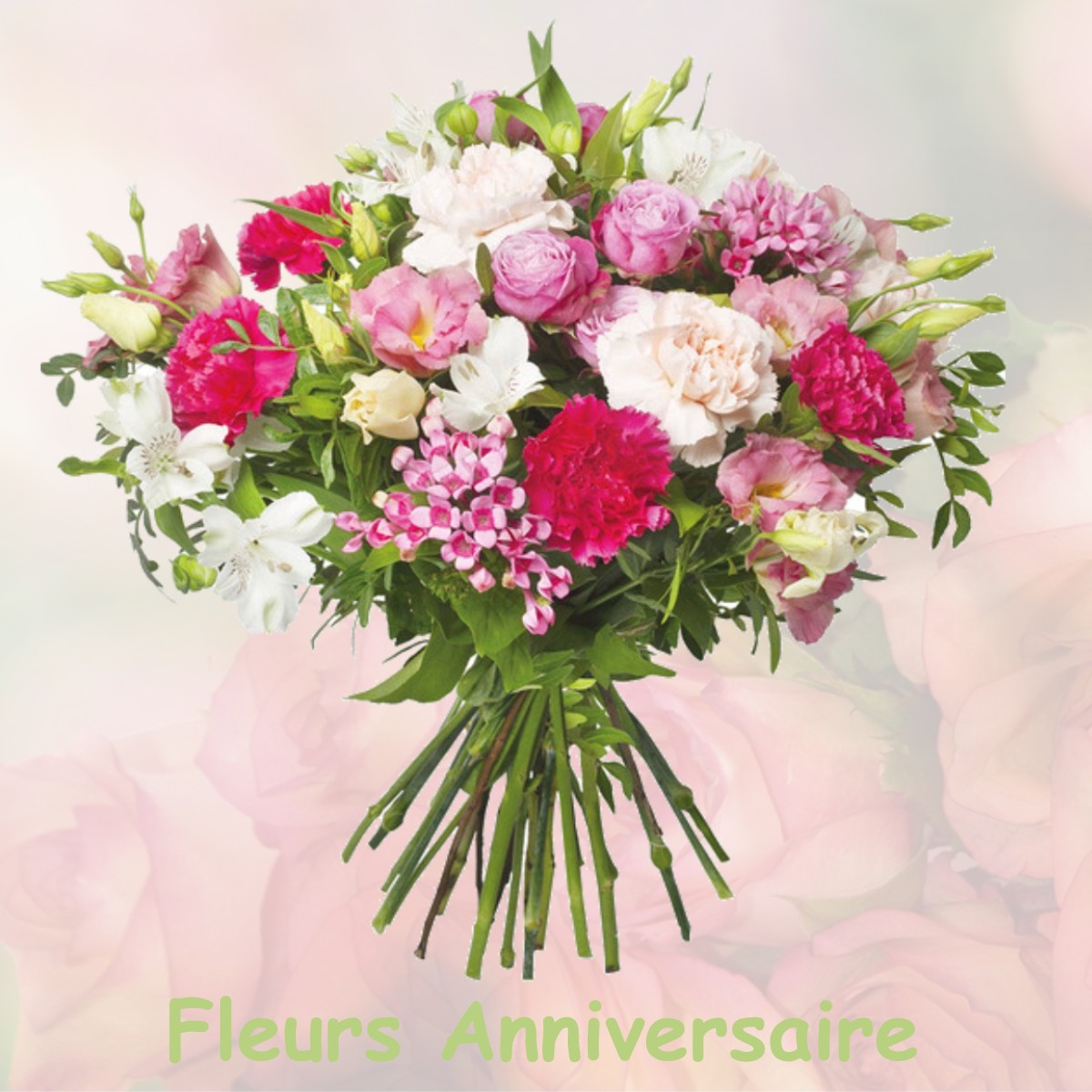 fleurs anniversaire SOISSONS-SUR-NACEY